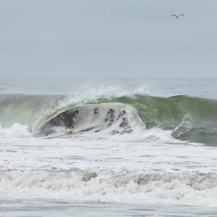 Sebastian Bustamante