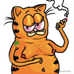 d.mq👁