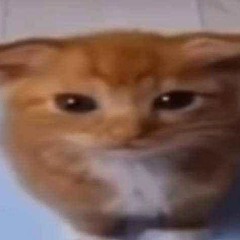 Dorian ฅ⁠^⁠•⁠ﻌ⁠•⁠^⁠ฅ