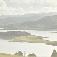 Singleton Sounds Like...