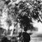 Yousef M Othman