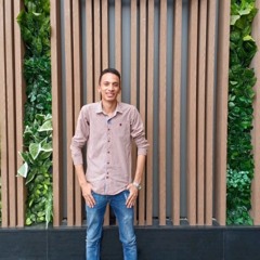 Amr Ali