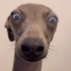 Duy Đang Nghe Nhạc