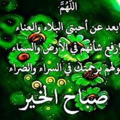 يوسف المصرى