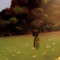 evenfall