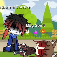 Spiritmadnesscombat