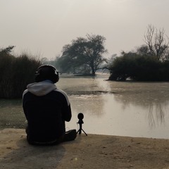 01 Bharatpur Birds Near Water