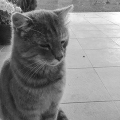 Bess