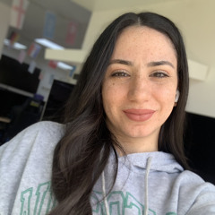 Zain Assi