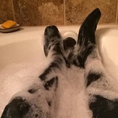 𝘼𝙉𝙊𝙉𝙔𝙈𝙊𝙐𝙎