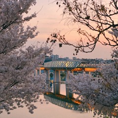 Jeongju
