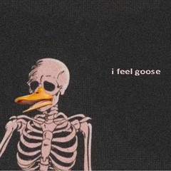Lil GoosE