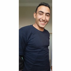 Wagdy Elfarsy