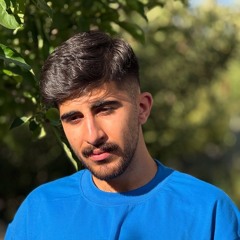 amir