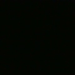 Alyssa Garcia-Valdivia