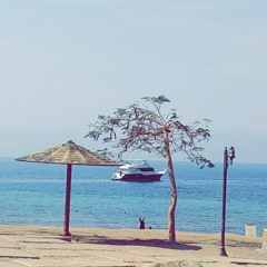 فرح الهرش
