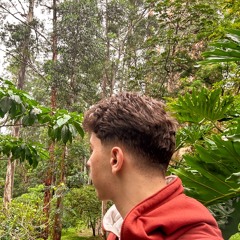 Daniel Aristizabal Garcia
