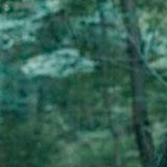 hate everything about yu. <3