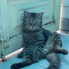 khanh linh le nguyen