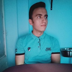 Fahmy EMBH