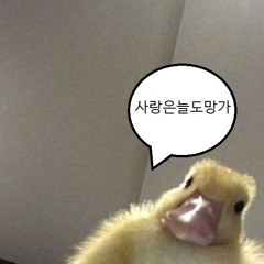 soba.___.7