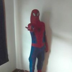 stonerbrydontspiderman169217