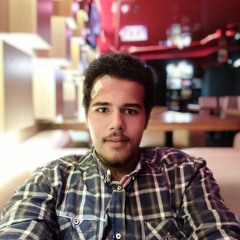 hassanelngem@gmail.com