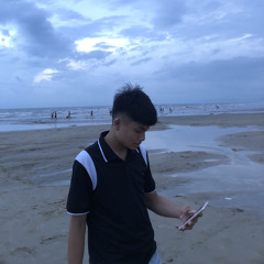 Le Doan Vu