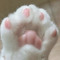 ola_7