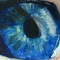 bluedice