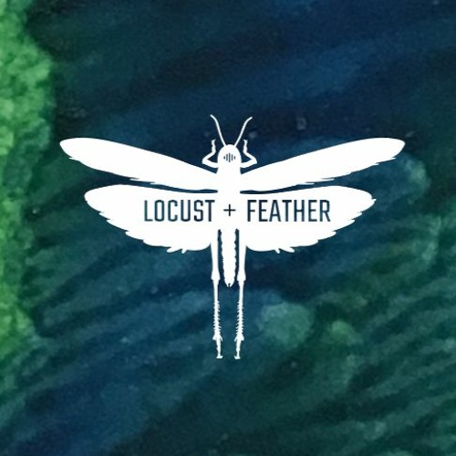 LOCUST + FEATHER’s avatar