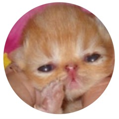 tomagotchi