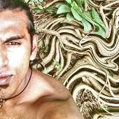 shaman_dreams