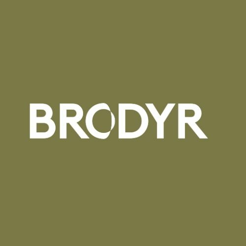 BRODYR’s avatar