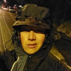 panzer ti scopa l ano