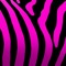 pinkzebra