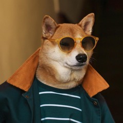 Alirezafrp