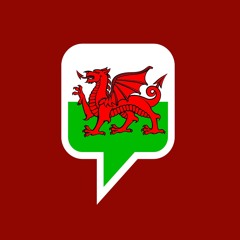 SSiW - Words of the Week