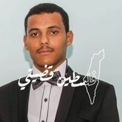 محمد محمود عبدالجواد