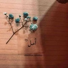 Amal Mustafa