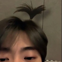 다우양
