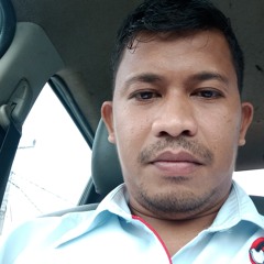 alfint