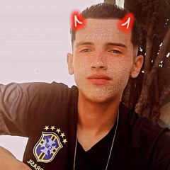 Vitor Pereira Faustino