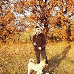 ქსოვრელი ვანო
