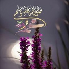 شريف شريف