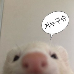 갈길가라