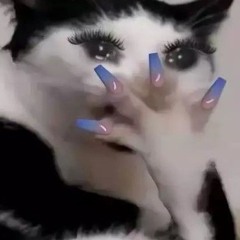 a m r k