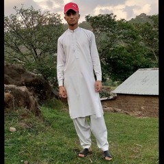 Waleed Abbasi