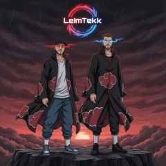 LeimTekk