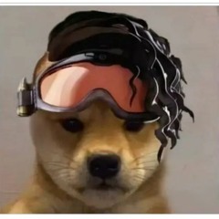 ZyK0
